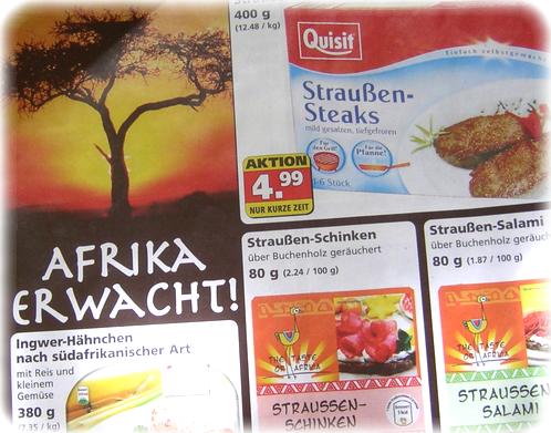 Afrika erwacht! Im Kühlregal von PLUS! Afrika erwacht! Im Kühlregal von PLUS!