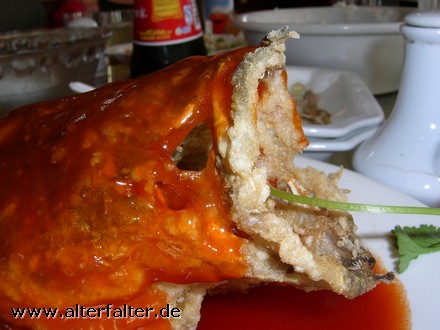Ein frittierter Fisch? Oder vielleicht doch eine Fledermaus? Ein frittierter Fisch? Oder vielleicht doch eine Fledermaus?