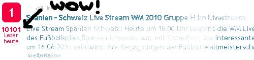 WM 2010 Live-Stream
