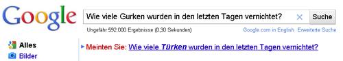 Türken statt Gurken - Googles peinlicher Meinten-Sie-Vorschlag
